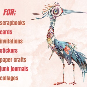 45 PNG Watercolor Quirky Birds Clipart, Whimsical Crazy Birds Illustrations Clip art, Funny Cartoon Bird Emotions png, Quirky Sublimation