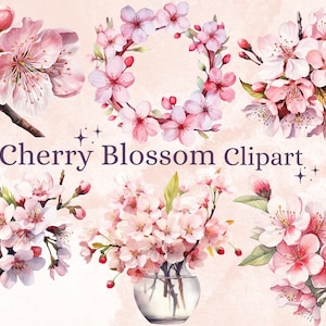 30 PNG aquarelle fleur de cerisier Clipart, japonais Sakura PNG Clip Art, printemps rose Blush Floral Clipart, numérique rose Sakura fleurs Bundle