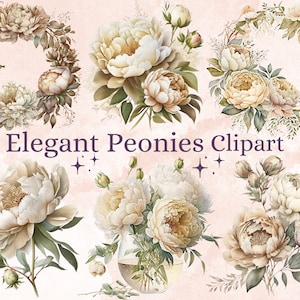 17 PNG Aquarell Elegante Pfingstrosen Clipart, Weiß & Beige Boho Pfingstrosen Clip Art, Boho Hochzeit weiße Pfingstrose Bouquet, Pfingstrose Clip Art Bundle