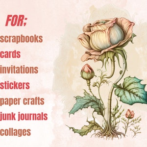 21 PNG Watercolour Vintage Floral Clipart, Vintage Flowers png bundle, Vintage Botanical Illustrations, Vintage Floral png Clip Art pack