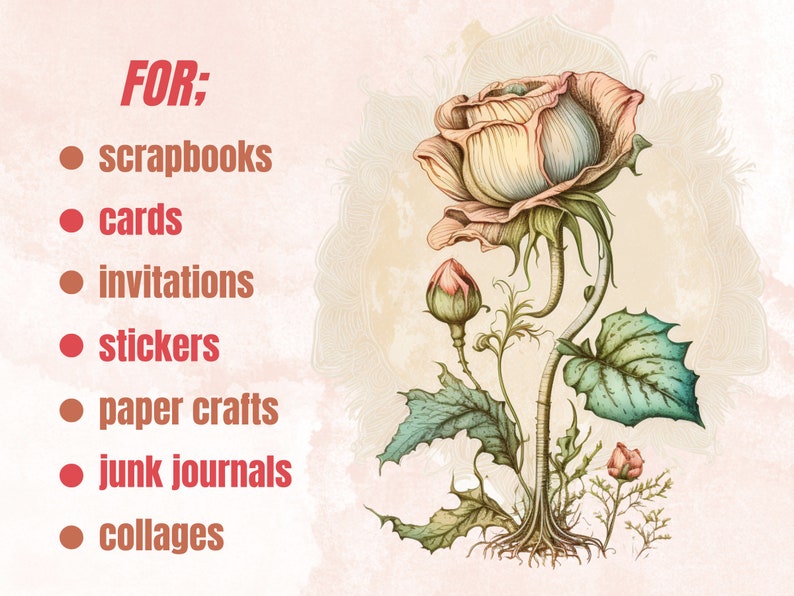 21 PNG Watercolour Vintage Floral Clipart, Vintage Flowers png bundle, Vintage Botanical Illustrations, Vintage Floral png Clip Art pack