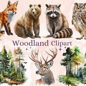 28 PNG aquarel Woodland Animals Clipart Bundle, Forest Elements Clip art Set, Forest Animals PNG Digital Image Downloads Commercieel gebruik