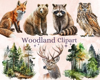 May include: Watercolor illustrations of woodland animals, including a fox, bear, raccoon, owl, and deer. The animals are depicted in a realistic style with detailed features. The background features a watercolor painting of a forest scene with trees and foliage.