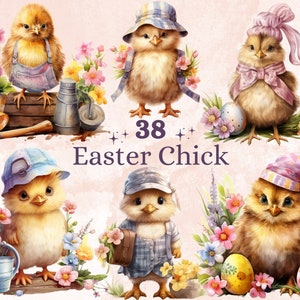 38 PNG acquerello pulcino di Pasqua Clipart, illustrazioni floreali di pulcino di Pasqua Clip art, sublimazione di pollo coltivatore di giardino, simpatici uccelli primaverili Png
