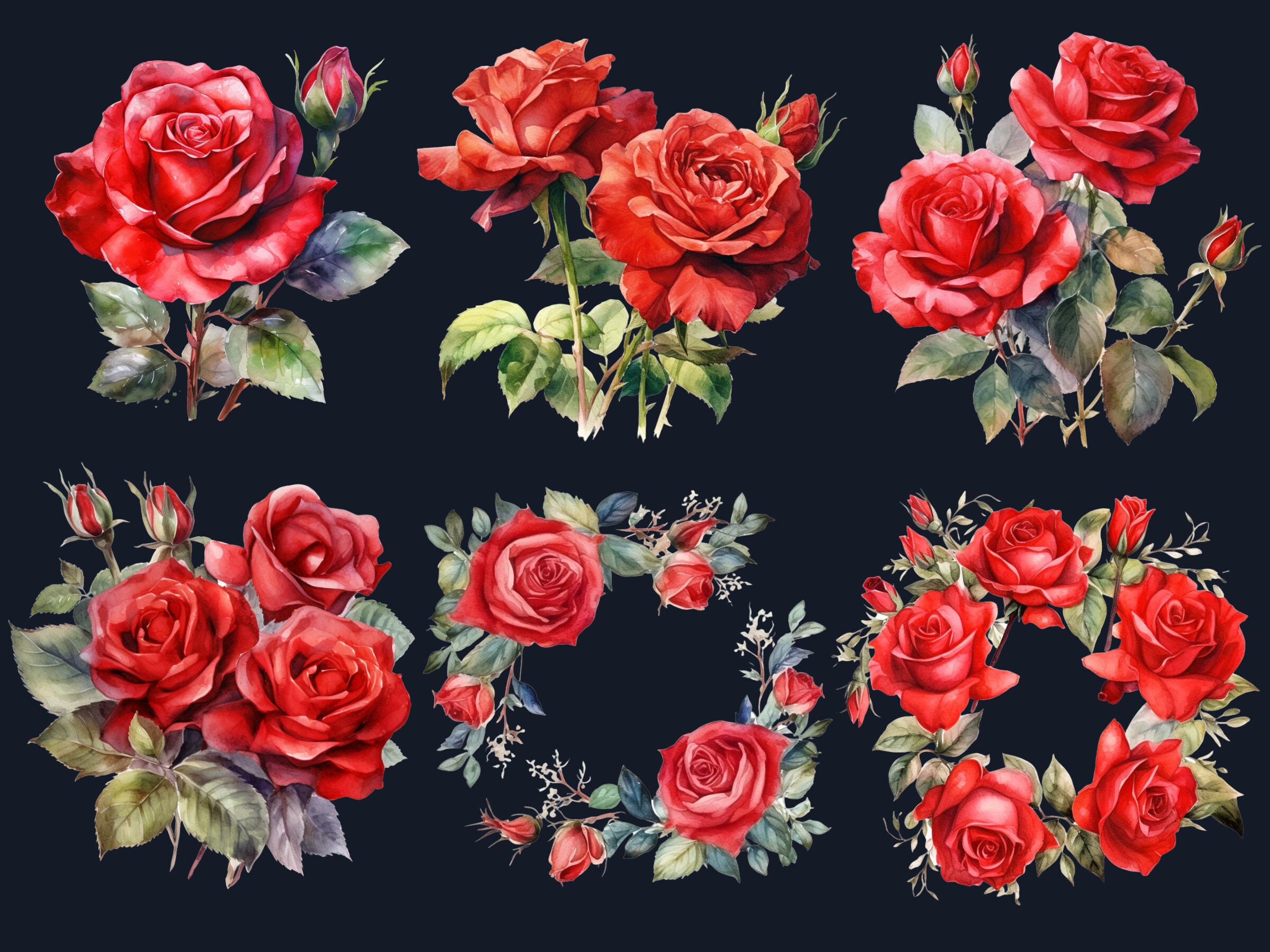 30 PNG Watercolor Red Roses Clipart Bundle, Red Rose PNG Clip Art ...
