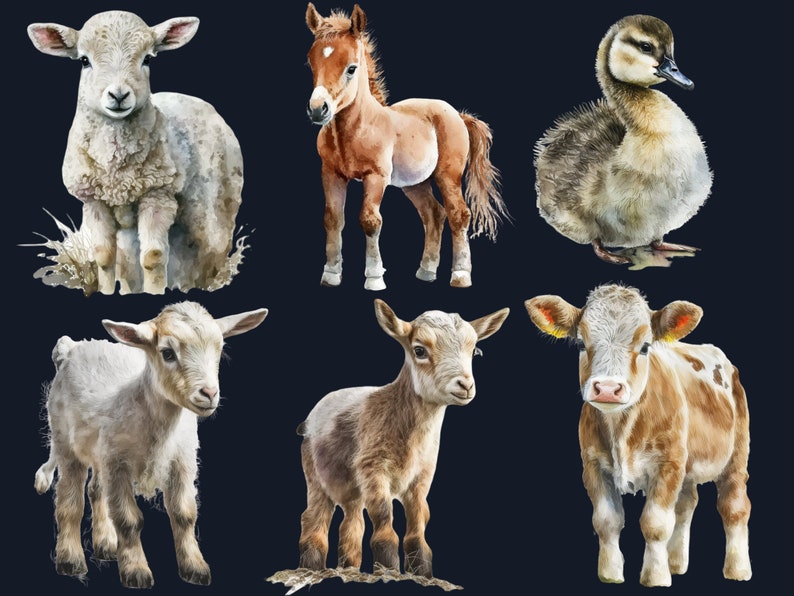 32 PNG Watercolor Little Cute Farm Animals Clipart, Baby Farm Animals ...