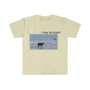 I May Be Stupid Cow on Beach Funny Meme TShirt