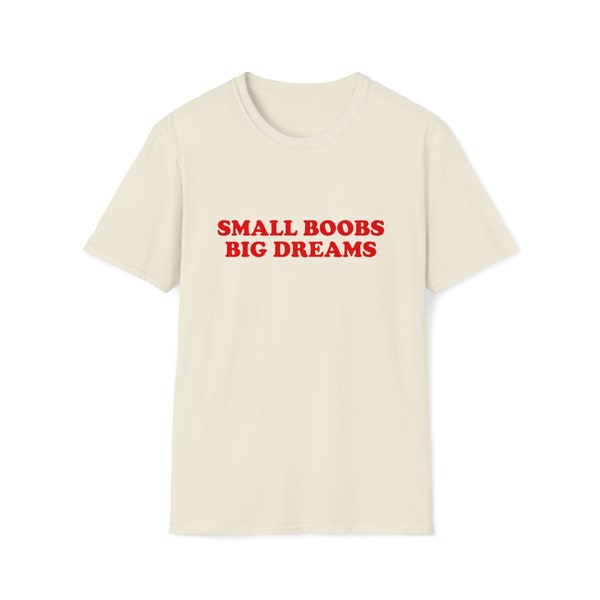 Funny Y2K TShirt, Small Boobs BIG Dreams 2000's Style Meme Tee, Gift Shirt