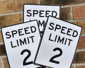 Speed Limit Centerpieces