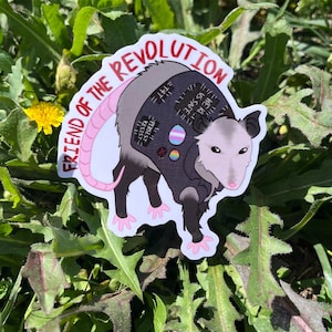 May include: A sticker featuring a cartoon opossum wearing a black jacket with patches that say "Resist", "We are safe", and "Trans rights are human rights". The opossum has a pink tail and pink paws. The sticker has the text "Friend of the Revolution" in red letters around the opossum.