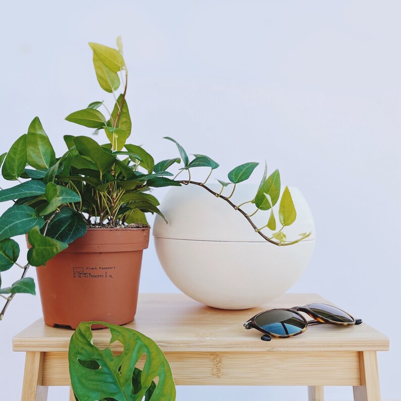 Self watering planter premium, 100% ceramic, made in Italy, unique pot for indoor plants image 2