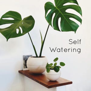 Conjunto de 2 vasos autoirrigáveis - cerâmica, cor marfim branco, vasos autoirrigáveis para plantas de interior, feitos na Itália, feitos à mão