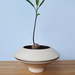 Self Watering Planter: The Perfect Home Decor and Gift for Her, Ideal for Houseplants and Indoor Greenery, made in Italy