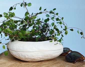 Stone Santa Severa (Self watering planter) - 100% ceramic, made in Italy, unique pot for indoor plants