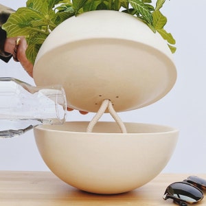 Self-watering ceramic pot – style and functionality for your indoor plants