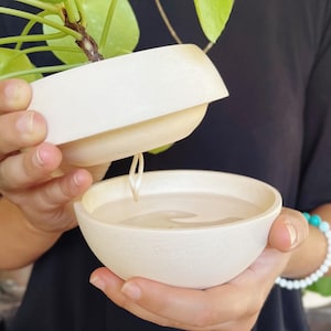 Può includere: Un vaso in ceramica bianca con un top rimovibile, perfetto per le piante da interno. Il vaso ha una superficie testurizzata e un piccolo foro sul fondo per il drenaggio.