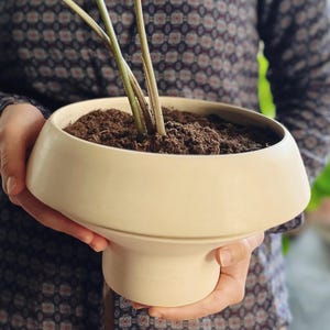 Op de afbeelding: Een lichtbeige keramische pot met een brede, afgeronde bovenkant en een smalle basis. De pot is gevuld met aarde en een kamerplant met groene stelen.