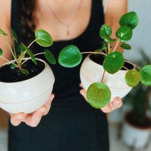 Set of 2 cute planters, self watering, 100% ceramic, Natural White, 4 Inch (nursery pots for Indoor plants) made in Italy