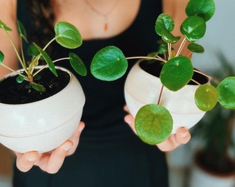 Set of 2 cute planters, self watering, 100% ceramic, Natural White, 4 Inch (nursery pots for Indoor plants) made in Italy