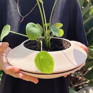 Peut inclure: Un pot en céramique blanche en forme de soucoupe volante avec une plante verte à l'intérieur.