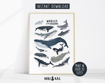 Whale Print, Ocean Nursery Decor, Coastal Kids Room (Digital Download)