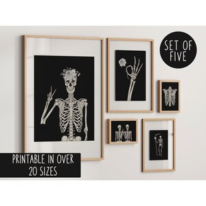 May include: Set of five printable skeleton illustrations in black and white. The skeletons are depicted in various poses, including peace signs, holding flowers, and holding a scythe. The text "Set of Five" is visible in the top right corner of the image.