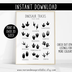Dinosaur Tracks Print, Black and White Dinosaur Footprints Educational Wall Art Dinosaur Nursery Dinosaur Poster Dinosaur Printable