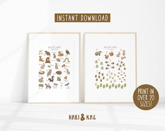 Woodland Alphabet Poster, Woodland Number Print, Woodland ABC's and 123's, Woodland Nursery Decor, Woodland Nursery Prints, Forest Animal