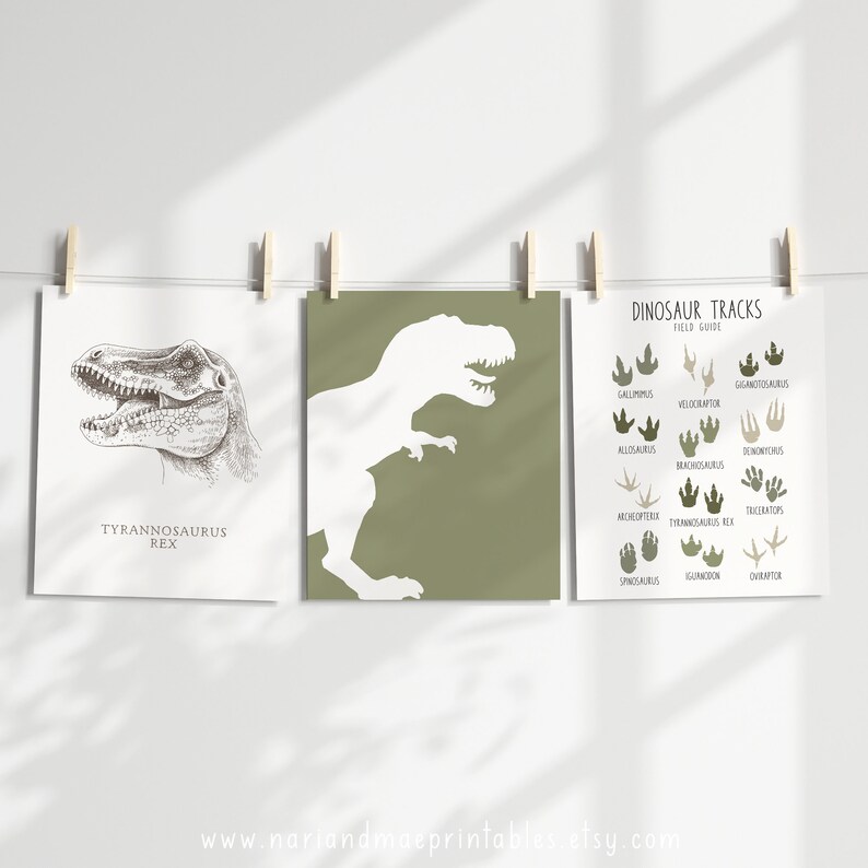 Dinosaur Bedroom Wall Art Set of 3 Prints Boys Room Dinosaur Etsy