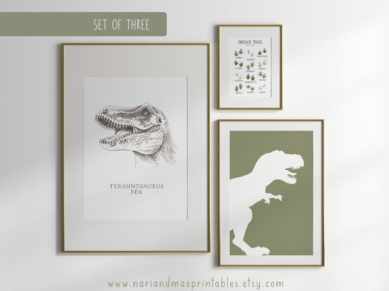 Dinosaur Bedroom Wall Art Set of 3 Prints Boys Room Dinosaur Etsy