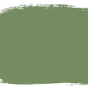 Peut inclure: Un &eacute;chantillon de peinture vert uni avec une surface rugueuse et textur&eacute;e. La peinture est d'un vert mat et terreux.