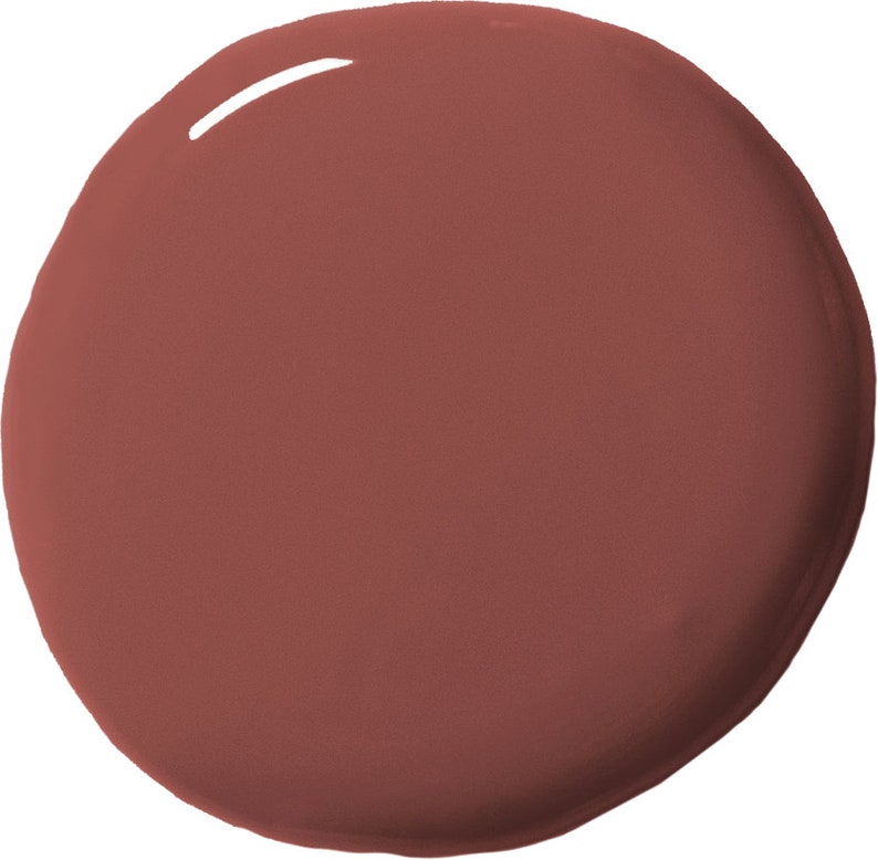 May include: A round, glossy, terracotta-colored circle.