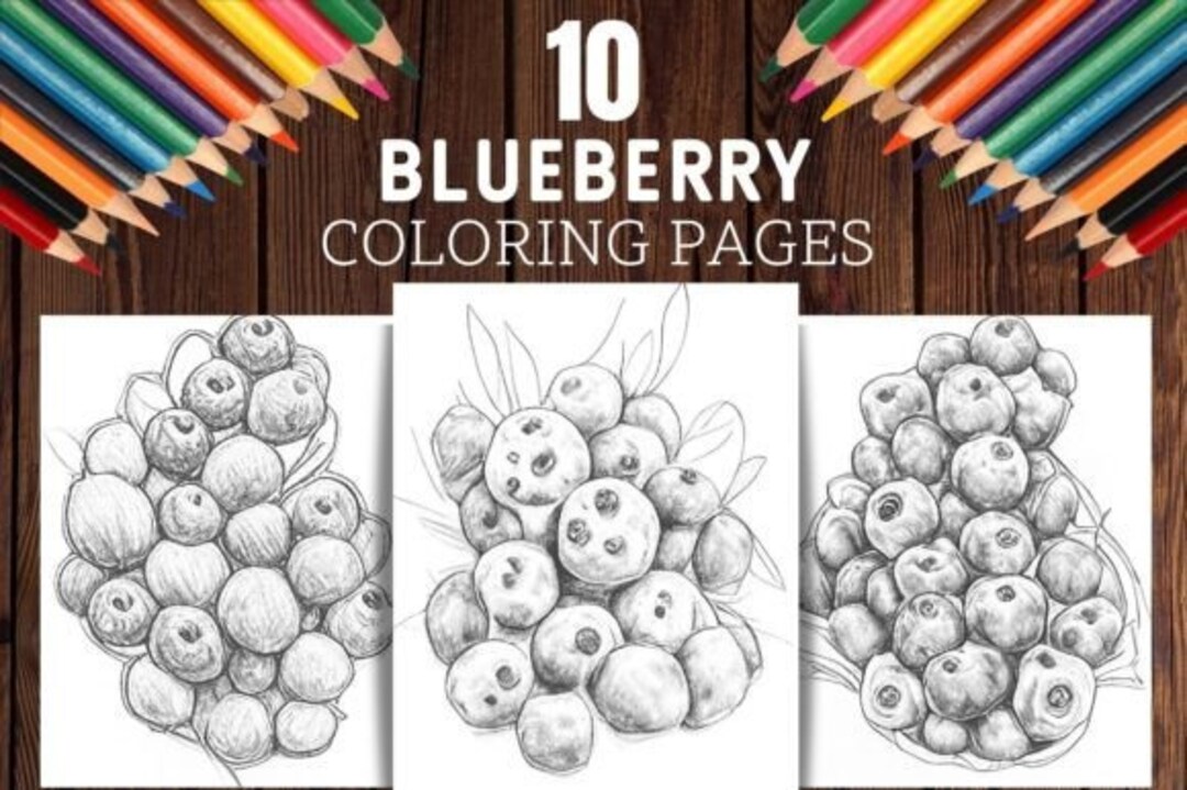 Blueberries Coloring Pages, Beautiful Grayscale Graphics, 10 Pages - Etsy