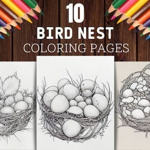 Bird Nests Coloring Pages, Grayscale Graphics, 10 pages