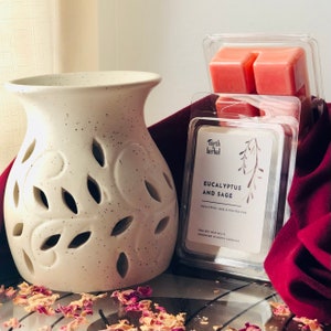 Strong scented Valentine’s Day Soy Wax Melts Long Lasting Wax Tarts Gift for Her Under 10 dollars
