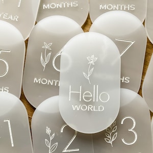 Acrylic Baby Milestone Markers Baby Milestones Baby Photo Prop Monthly Milestone for Baby Oval Acrylic Milestone Markers