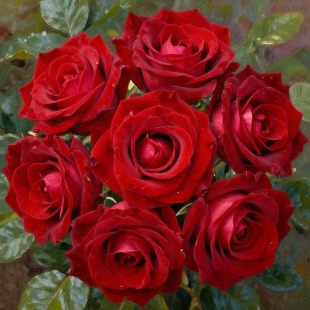 Redv Roses Red Velvet Rose Greeting Cards – Set of 5 A6 Digital Prints, Instant ...