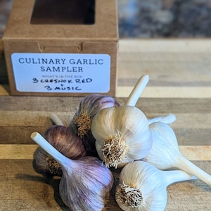 Culinary Garlic Sampler
