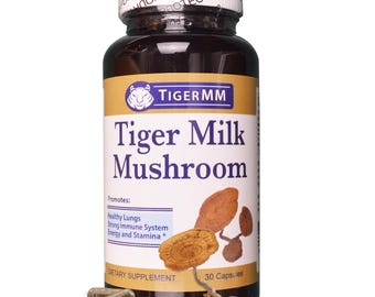 Tigermilchpilz (Lignosus rhin) Hergestellt in den USA