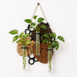 Glass Vase for Monstera - Etsy