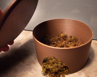 Removable Lid Reptile Hide
