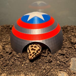 May include: A 3D printed reptile hide shaped like Captain America's shield. The shield is red, white, and blue with a silver star in the center. A small lizard is peeking out from the opening of the hide.