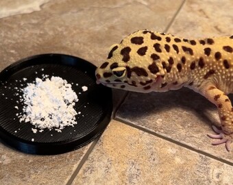 3 Pack Calcium Dish for Reptiles