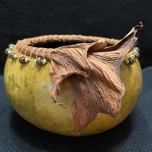 Gourd #173 ~ Large Green Gourd Bowl w/Sheath ~ Gourd Art