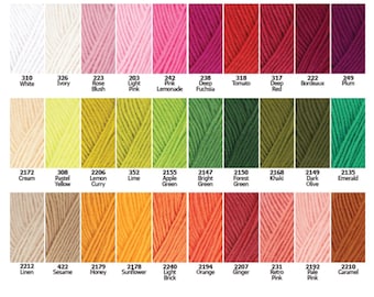 May include: A color chart featuring thirty distinct yarn samples arranged in three rows. Each sample displays a unique color name and a corresponding numerical code, ranging from white, pink, and red to green, yellow, orange, and brown tones.
