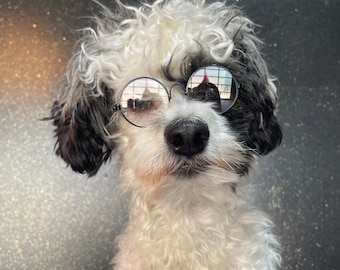 Noir glasses for dogs, cats & small pets