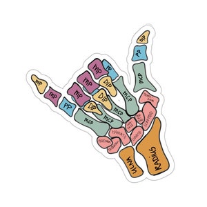 Hand Anatomy Shaka Sign | Physical Therapy Stickers | Anatomy Sticker Hang Loose