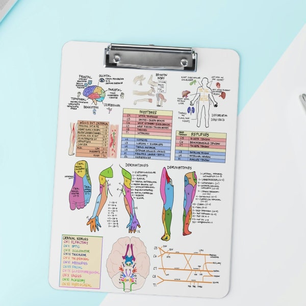 Physical Therapy School - Etsy