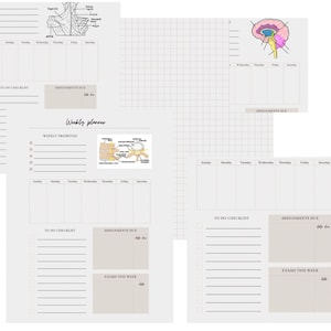 Puede incluir: Un planificador semanal con un diseño de cuadrícula para cada día de la semana. El planificador incluye secciones para listas de tareas, tareas pendientes, exámenes de esta semana y prioridades semanales. El planificador también incluye un diagrama del cerebro y la médula espinal humanos.