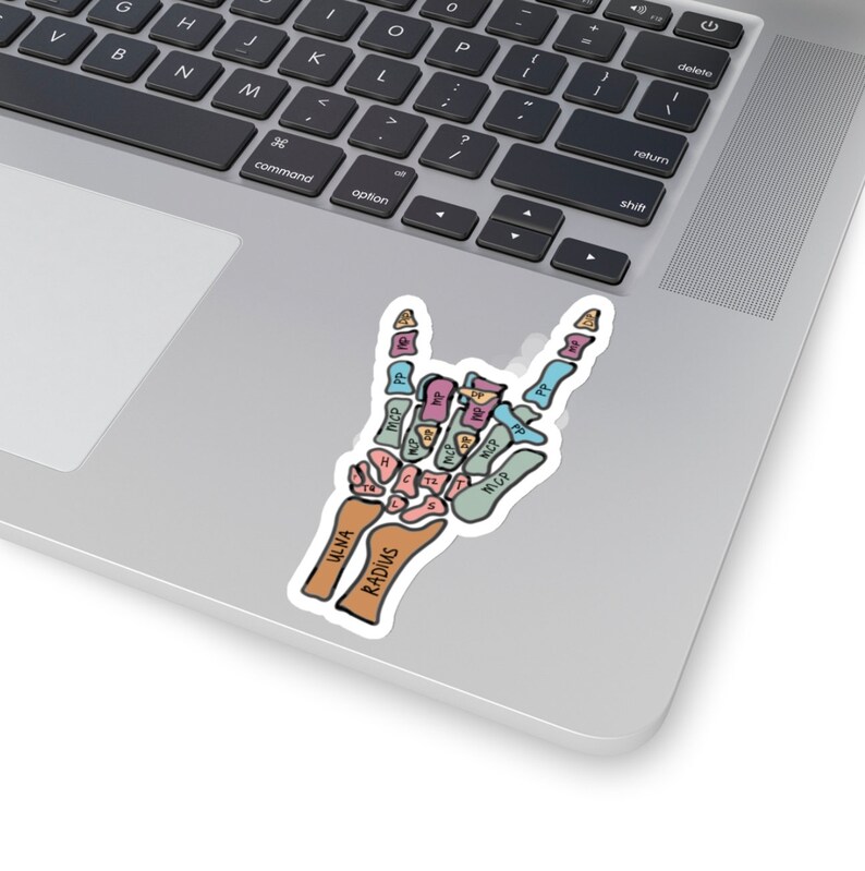 Puede incluir: Una pegatina de una mano haciendo el gesto de rock and roll. La mano es un esqueleto con los huesos etiquetados en diferentes colores. Los huesos est&aacute;n etiquetados con los nombres de los huesos, como ulna, radio, MCP y PIP.
